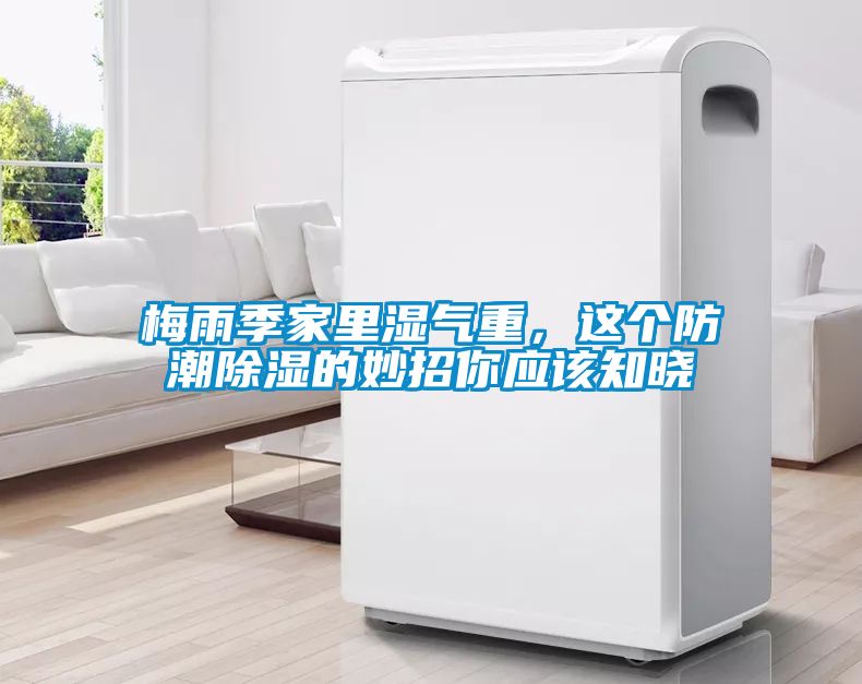 梅雨季家里濕氣重，這個防潮除濕的妙招你應(yīng)該知曉