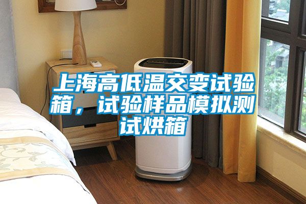 上海高低溫交變試驗(yàn)箱，試驗(yàn)樣品模擬測試烘箱