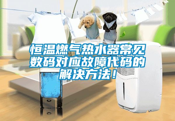 恒溫燃氣熱水器常見數碼對應故障代碼的解決方法！