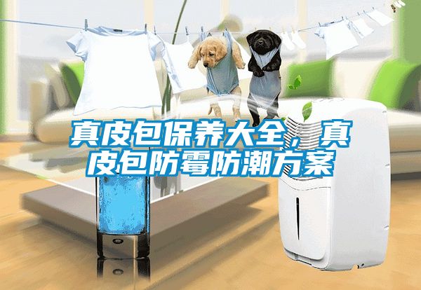 真皮包保養(yǎng)大全，真皮包防霉防潮方案
