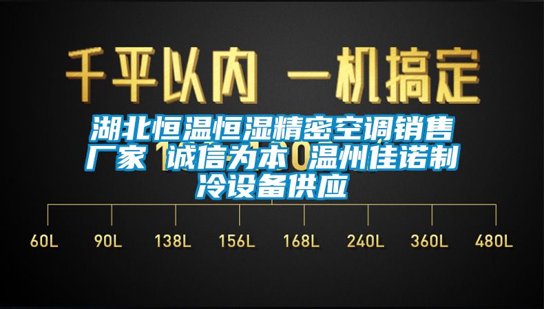 湖北恒溫恒濕精密空調(diào)銷售廠家 誠信為本 溫州佳諾制冷設備供應
