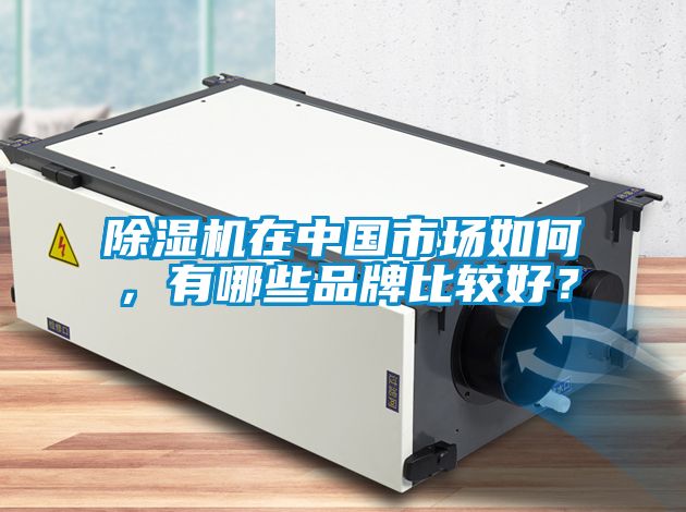 除濕機在中國市場如何，有哪些品牌比較好？
