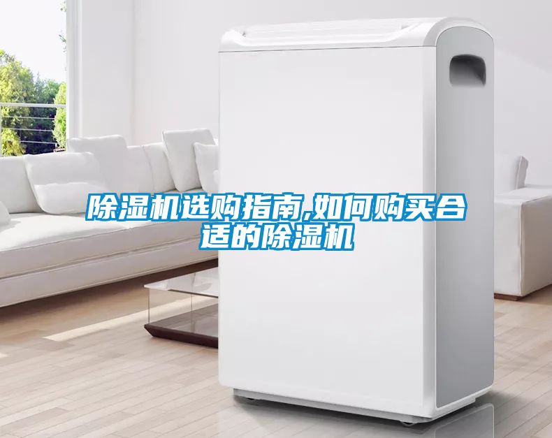除濕機(jī)選購(gòu)指南,如何購(gòu)買(mǎi)合適的除濕機(jī)