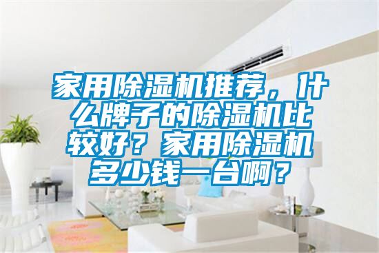 家用除濕機推薦，什么牌子的除濕機比較好？家用除濕機多少錢一臺??？