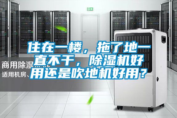 住在一樓，拖了地一直不干，除濕機(jī)好用還是吹地機(jī)好用？