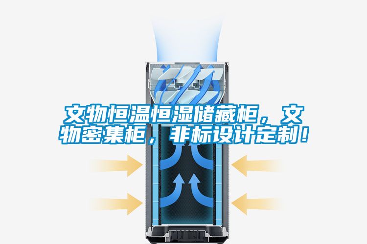 文物恒溫恒濕儲藏柜，文物密集柜，非標(biāo)設(shè)計(jì)定制！