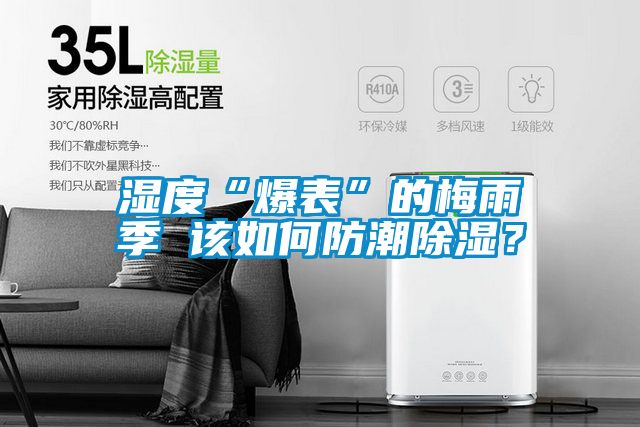 濕度“爆表”的梅雨季 該如何防潮除濕？