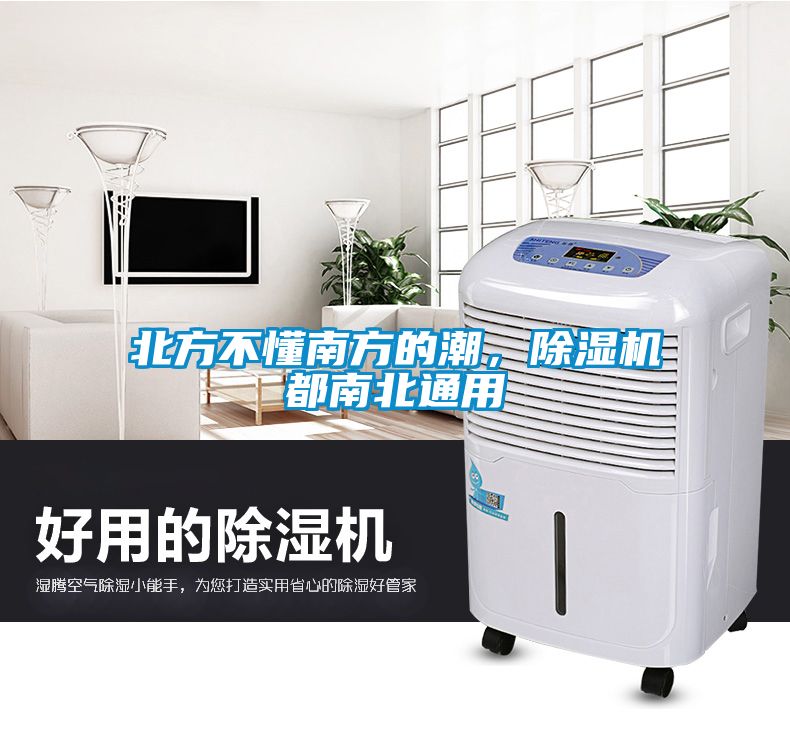 北方不懂南方的潮，除濕機(jī)都南北通用