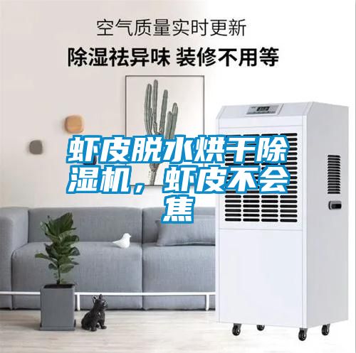 蝦皮脫水烘干除濕機，蝦皮不會焦