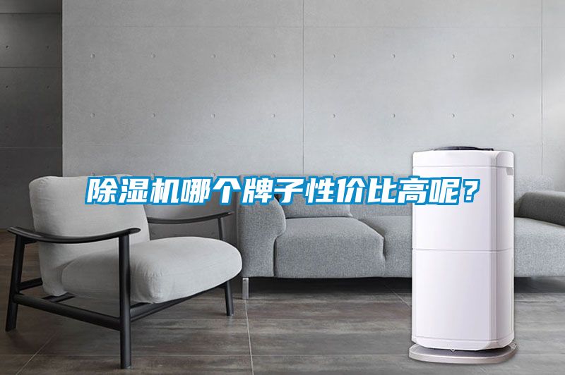 除濕機哪個牌子性價比高呢？