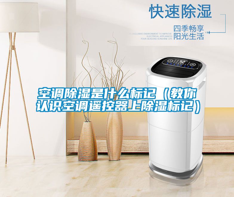 空調(diào)除濕是什么標(biāo)記（教你認識空調(diào)遙控器上除濕標(biāo)記）