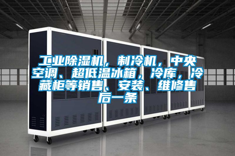 工業(yè)除濕機(jī)，制冷機(jī)，中央空調(diào)、超低溫冰箱，冷庫(kù)，冷藏柜等銷售、安裝、維修售后一條