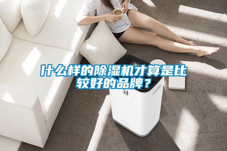 什么樣的除濕機才算是比較好的品牌？