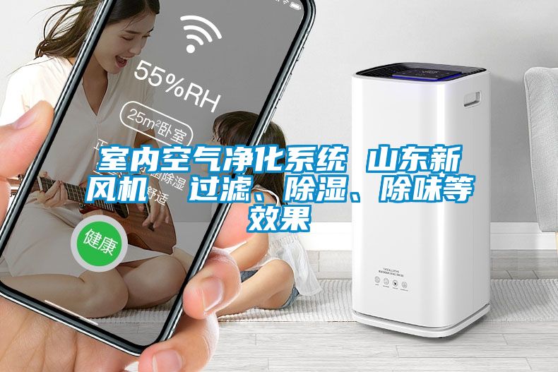 室內(nèi)空氣凈化系統(tǒng) 山東新風機  過濾、除濕、除味等效果