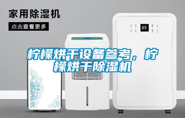 檸檬烘干設(shè)備參考，檸檬烘干除濕機(jī)