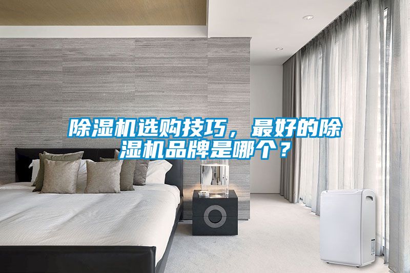 除濕機選購技巧，最好的除濕機品牌是哪個？