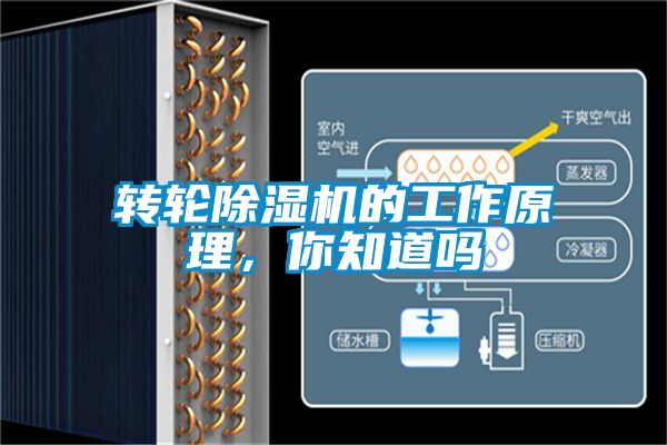 轉(zhuǎn)輪除濕機(jī)的工作原理，你知道嗎