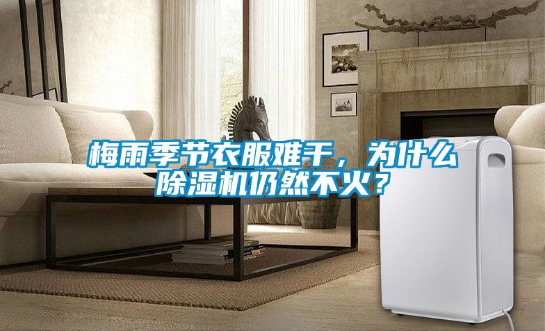 梅雨季節(jié)衣服難干，為什么除濕機(jī)仍然不火？