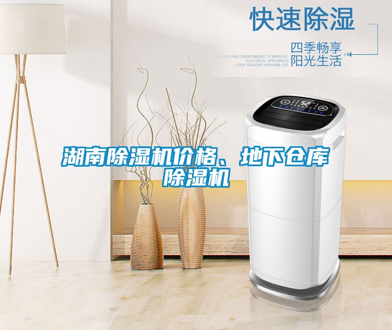 湖南除濕機(jī)價格、地下倉庫除濕機(jī)