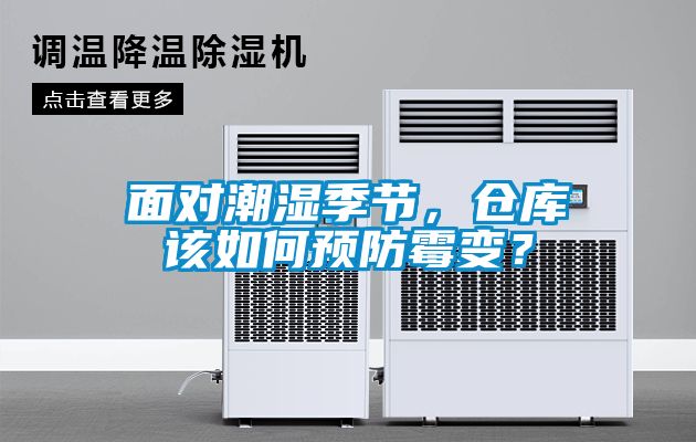 面對潮濕季節(jié)，倉庫該如何預(yù)防霉變？