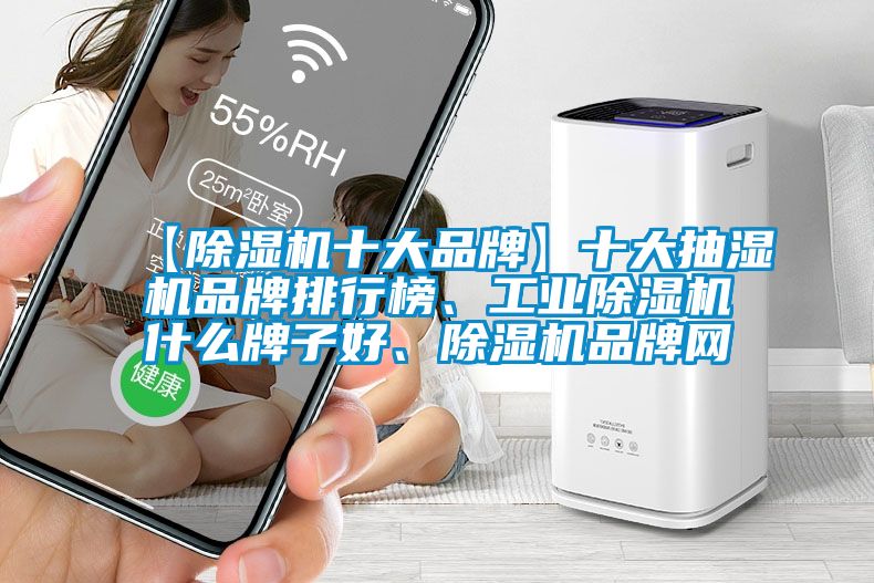 【除濕機十大品牌】十大抽濕機品牌排行榜、工業(yè)除濕機什么牌子好、除濕機品牌網(wǎng)