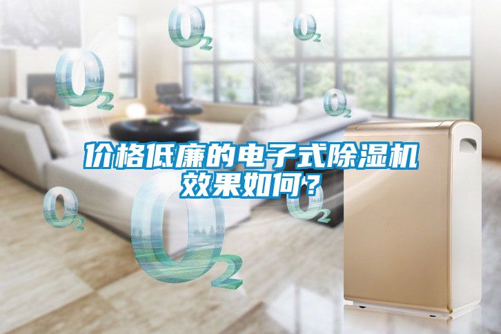 價(jià)格低廉的電子式除濕機(jī)效果如何？