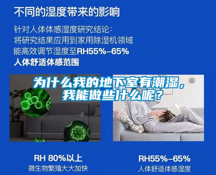為什么我的地下室有潮濕， 我能做些什么呢？
