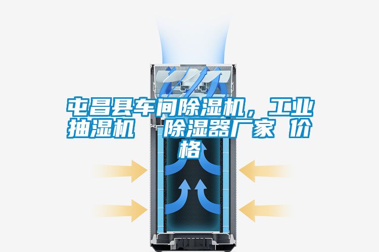屯昌縣車間除濕機(jī)，工業(yè)抽濕機(jī)  除濕器廠家 價(jià)格
