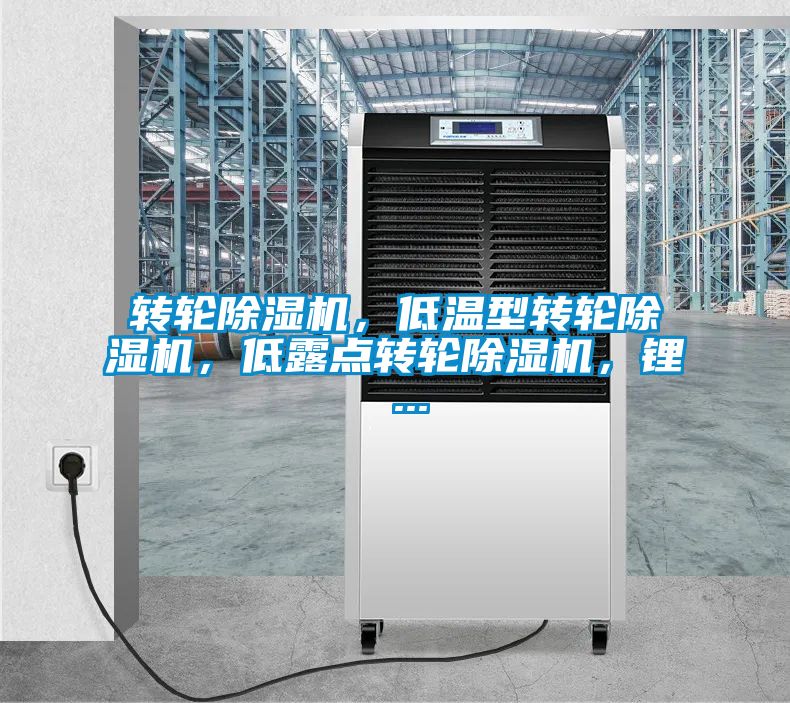 轉(zhuǎn)輪除濕機(jī)，低溫型轉(zhuǎn)輪除濕機(jī)，低露點(diǎn)轉(zhuǎn)輪除濕機(jī)，鋰 ...