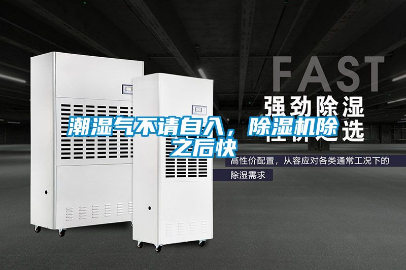 潮濕氣不請自入，除濕機除之后快