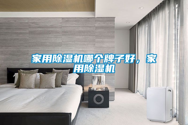 家用除濕機(jī)哪個(gè)牌子好，家用除濕機(jī)