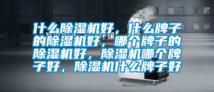 什么除濕機(jī)好，什么牌子的除濕機(jī)好，哪個牌子的除濕機(jī)好，除濕機(jī)哪個牌子好，除濕機(jī)什么牌子好