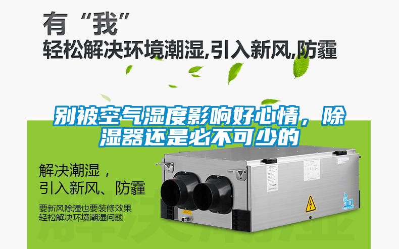 別被空氣濕度影響好心情，除濕器還是必不可少的