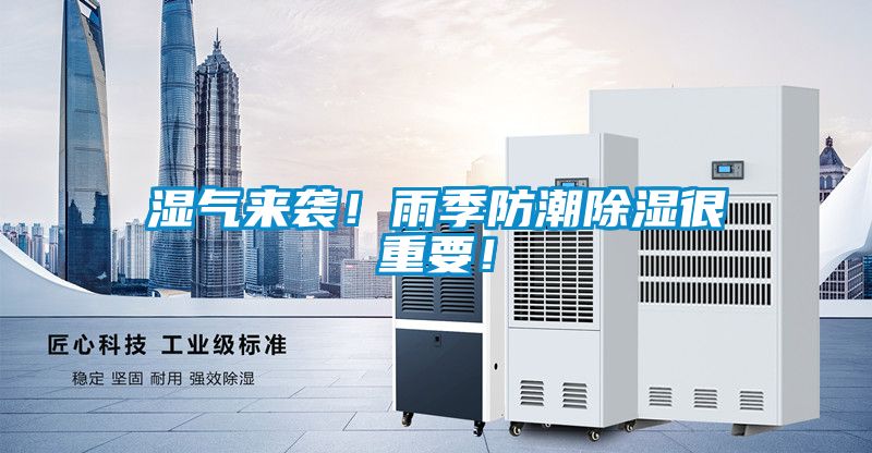 濕氣來襲！雨季防潮除濕很重要！