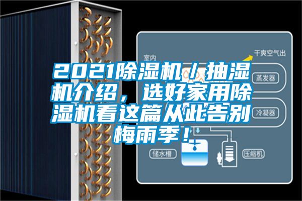 2021除濕機／抽濕機介紹，選好家用除濕機看這篇從此告別梅雨季！