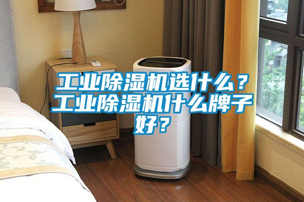 工業(yè)除濕機選什么？工業(yè)除濕機什么牌子好？