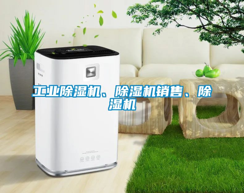 工業(yè)除濕機、除濕機銷售、除濕機