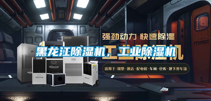 黑龍江除濕機(jī)，工業(yè)除濕機(jī)