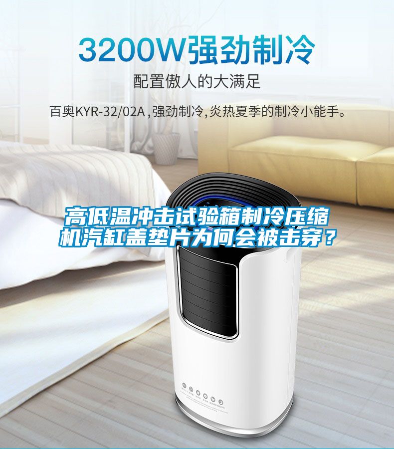 高低溫沖擊試驗(yàn)箱制冷壓縮機(jī)汽缸蓋墊片為何會(huì)被擊穿？