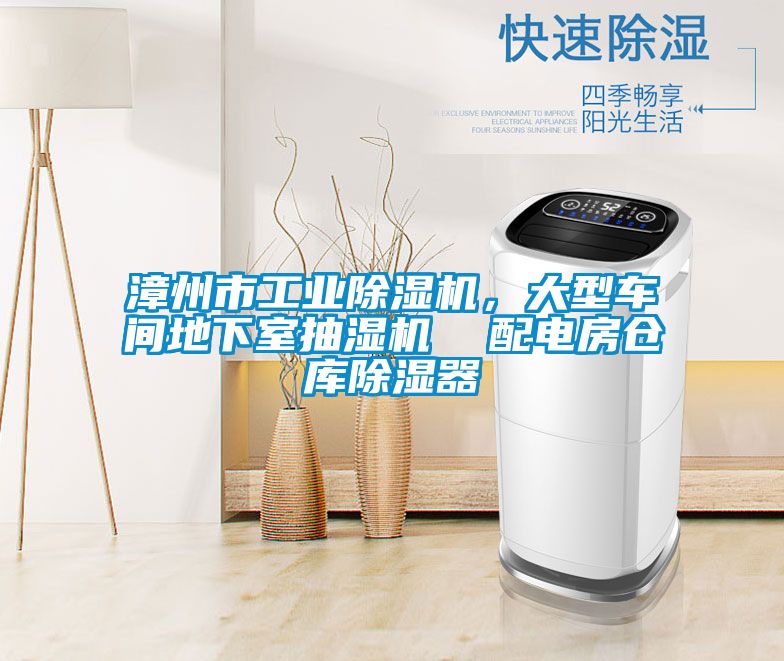 漳州市工業(yè)除濕機，大型車間地下室抽濕機  配電房倉庫除濕器