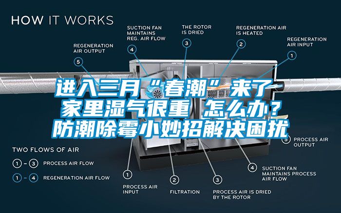 進(jìn)入三月“春潮”來了 家里濕氣很重 怎么辦？防潮除霉小妙招解決困擾