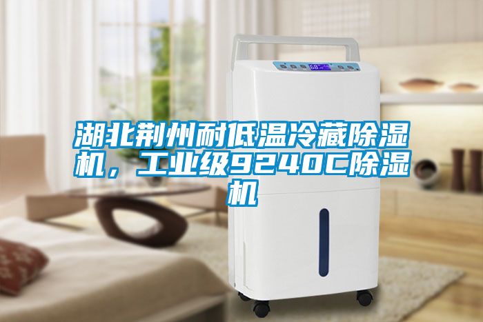 湖北荊州耐低溫冷藏除濕機，工業(yè)級9240C除濕機