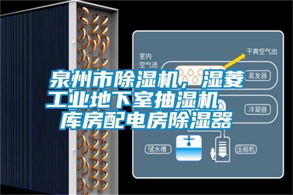 泉州市除濕機，濕菱工業(yè)地下室抽濕機  庫房配電房除濕器