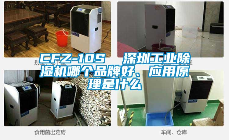 CFZ-10S  深圳工業(yè)除濕機哪個品牌好、應用原理是什么