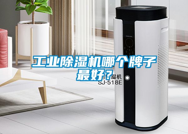 工業(yè)除濕機哪個牌子最好？